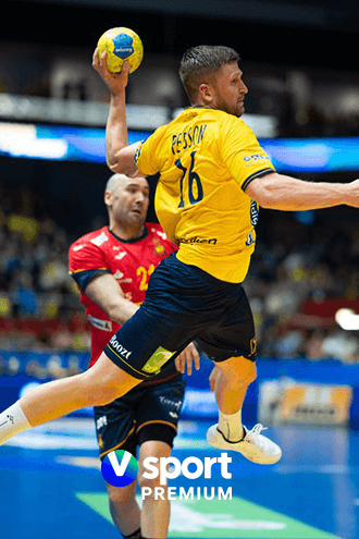 Handball-1-1.png